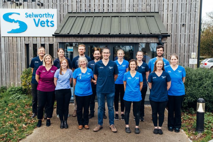 Pet Client Care Team