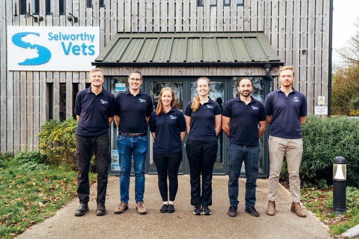 Pet Vets