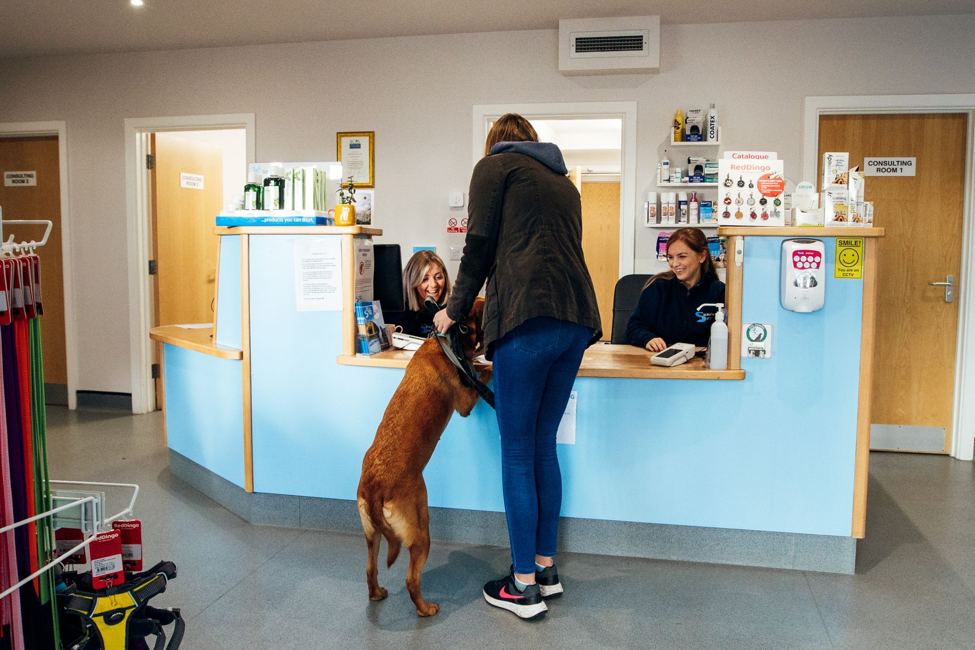 Selworthy Vets