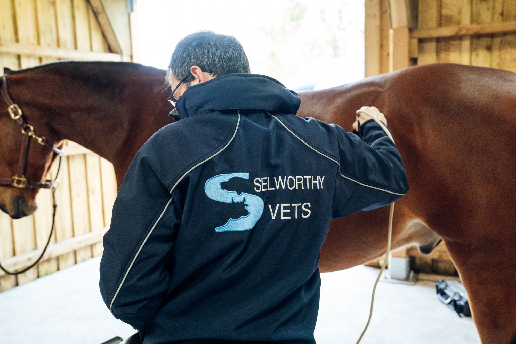 Selworthy Vets