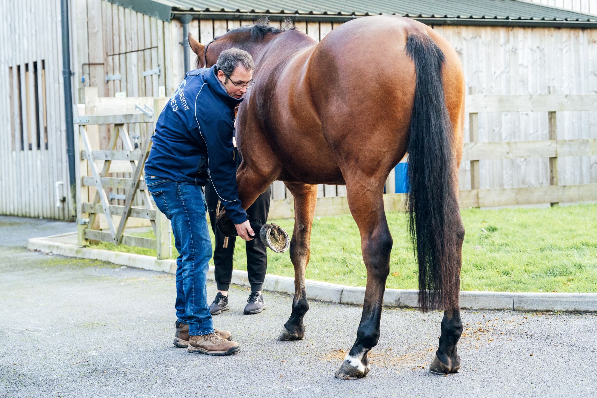 Selworthy Vets